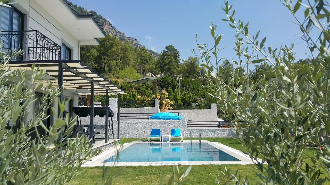 Private Villa In Gocek Villa Perest